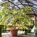 Greenspring Nursery and Stone Supply | Jarrettsville, MD 410-893-2307 | Greenspring Nursery and Stone Supply: Redefining Landscaping with Premium Trees and Stone Products